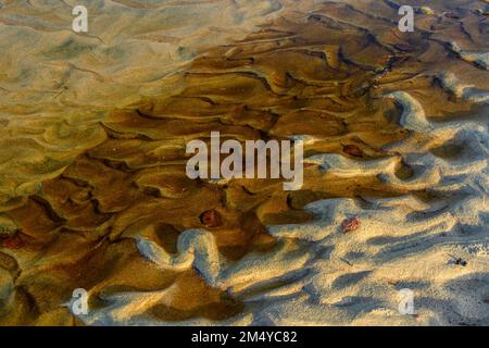 Sandwelpen am Lake Superior in einem unbenannten Bach in Sandy Beach, Wawa, Ontario, Kanada Stockfoto