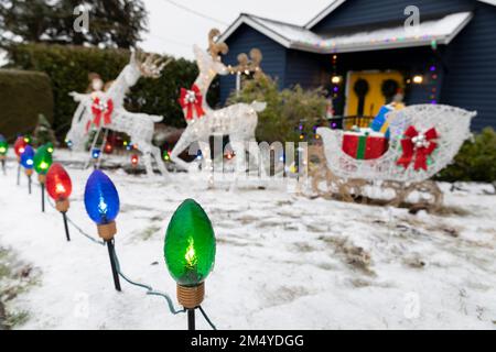 Seattle, Washington, USA. 23. Dezember 2022. Die Weihnachtsdekorationen eines Heims in West Seattle sind von einem Eissturm umgeben, der den Westen Washingtons umhüllt. Kredit: Paul Christian Gordon/Alamy Live News Stockfoto