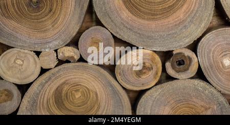 Kleines Stück Holzstämme geschnitten für Holz Textur Hintergrund verwendet Stockfoto