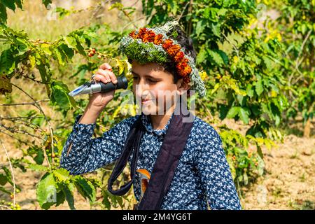 Ein Junge aus dem Qahtani-Blumenmenschen-Stamm in den Kaffeepflanzen, Asir-Gebirge, Königreich Saudi-Arabien Stockfoto