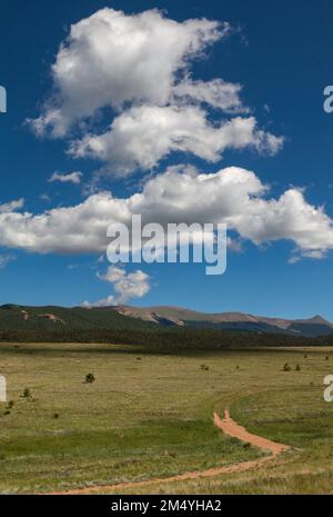 Große, geschwollene weiße Wolken schweben in einem tiefen blauen Himmel über einer Wiese und einem zweispurigen Pfad in der Nähe des nördlichen Hangs des Pikes Peak in Teller County, Colorado Stockfoto