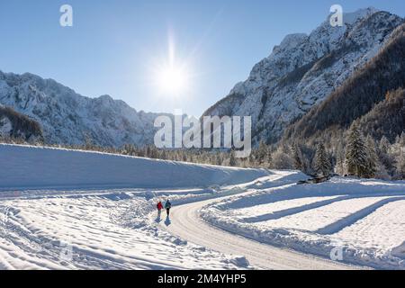 Skisprungschanze auf Planica in der Nähe von Kranjska Gora Slowenien, im Winter mit Schnee bedeckt. Stockfoto