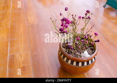 Eine Nahaufnahme von lila Gypsophila paniculata, der Atem des Babys in einem Blumentopf auf dem Tisch. Stockfoto