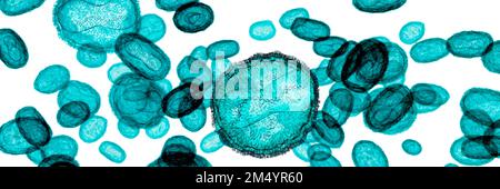 Mpocken, oder Affen-Pocken, Viruspartikel, Illustration. Mpox ist ein zoonotisches Virus aus der Familie der Poxviridae, das Mpox verursacht, eine pockenähnliche Krankheit. Im ce Stockfoto