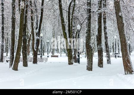 Verschneiter Stadtpark im Winter bei Schneefall. Schneebedeckte gefrorene Bäume, Bänke und Laternen. Stockfoto