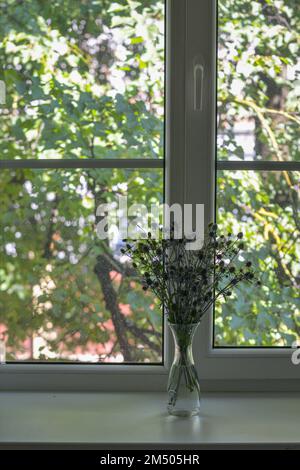 Eine vertikale Aufnahme der blauen Blumen mit Stacheln steht in einer Vase auf einer weißen Fensterbank Stockfoto