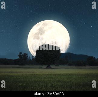 Geheimnisvoll von Big Moon und Sternenlicht über einsamen Bäumen auf landschaftlich genutztem Feld Stockfoto