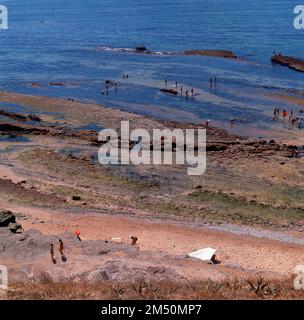 MARISCADORES EN LA PLAYA - FOTO AÑOS 60. Lage: AUSSEN. Oeiras. PORTUGAL. Stockfoto