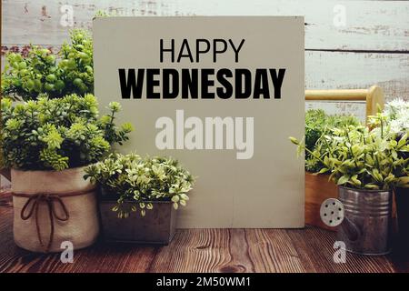 „Happy Wednesday“-Textnachricht mit künstlicher Pflanzendekoration auf Holzhintergrund Stockfoto