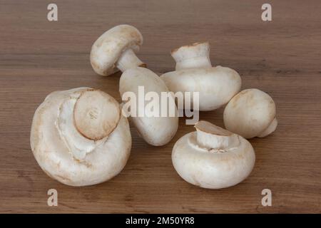 Frischer, weißer Champignon auf einem Holztisch. Gemüse zum Kochen in der Küche. Stockfoto