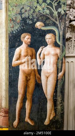 Die Versuchung von Adam und Eva von Masolino, Fresko in der Brancacci-Kapelle, in der Kirche Santa Maria del Carmine, Florenz, Toskana, Italien Stockfoto