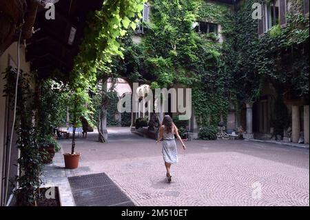 Archive Photo, Italien. 25. Dezember 2022. VORSTELLUNG des WEINGUTS VON LEONARDO DA VINCIS IM GARTEN DER CASA DEGLI ATELLANI IN CORSO MAGENTA, 65 (MAILAND - 2015-07-13, DUILIO PIAGGESI) das Foto kann für den Kontext verwendet werden, in dem es aufgenommen wurde; Und ohne die verleumderische Absicht des Anstands der Personen repräsentierte redaktionelle Verwendung nur Kredit: Independent Photo Agency/Alamy Live News Stockfoto