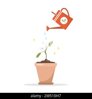 Bewässerung von Setzlingen aus der Gießkanne. Bio-Grüns. Heimpflege von Pflanzen. Gartenhobby. Gartenbaukonzept. Vektordarstellung in einem flachen Cartoon Stock Vektor
