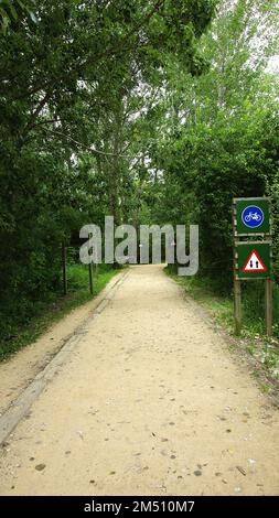 Pfad im Wald um den Banyoles See in Girona, Katalonien, Spanien, Europa Stockfoto