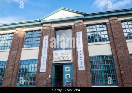 Biscuit Factory,Gebäude,Kunst,Künstler,Galerie,Galerien,Weltraum,Ouseburn,Newcastle upon Tyne,Simply,Newcastle, ist eine, Stadt, und, Metropolregion, In, Tyne und Wear, England. Die Stadt befindet sich am Fluss Tyne, nördliches Ufer, und bildet den größten Teil des bebauten Gebiets von Tyneside. Newcastle ist auch die bevölkerungsreichste Stadt Nordostenglands. Nordosten, England, Englisch, GB, Großbritannien, Großbritannien, Großbritannien, Großbritannien, Großbritannien, Europa, Europa, 2-stöckige Kunst- und Handwerksgalerie in einem großen, ehemaligen Lagerhaus mit freiliegenden Ziegeln und freigelegten Böden Stockfoto