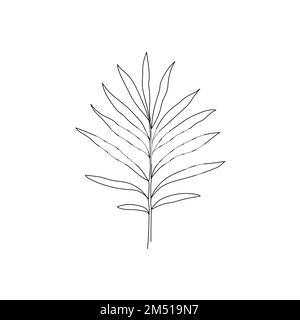 Leinenbucht Lorbeerblatt Ast Art. Ein dekorativer Lorbeerblatt-Anzug mit durchgehender Linienzeichnung. Bearbeitbares einzelnes Verzweigungselement für Kontur. Darstellung isolierter Vektoren Stock Vektor