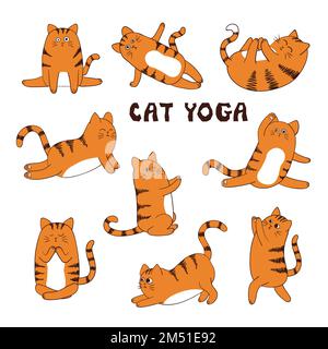 Ein Cartoon mit lustiger Yoga-Katze. Tiersportvektordarstellung. Stock Vektor