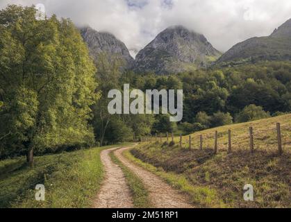 Pfad durch die Wälder in Picos de Europa, Asturien, Spanien Stockfoto