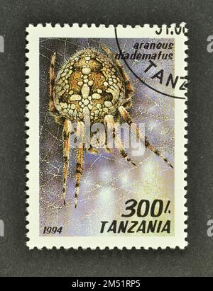 Annullierte Briefmarke gedruckt von Tansania, auf der European Garden Spider (Araneus diadematus), circa 1994, zu sehen ist. Stockfoto