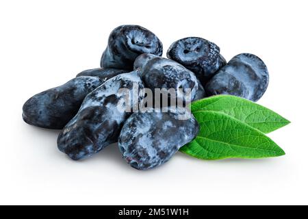 Frische blaue Geißelbeere isoliert auf weißem Hintergrund mit voller Schärfentiefe Stockfoto