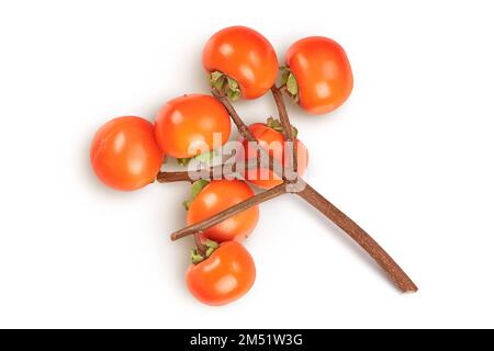 Persimonenfrucht am Zweig, isoliert auf weißem Hintergrund mit voller Schärfentiefe. Draufsicht. Flach verlegt Stockfoto