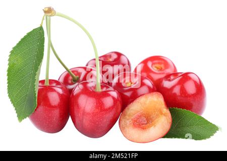 Kirschen Kirschen frische Sommerfrüchte isoliert auf weißem Hintergrund Stockfoto