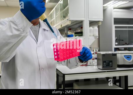 Im Biologielabor. Manipulationen mit Proben während der Studie. Stockfoto