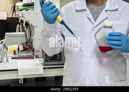 Im Biologielabor. Manipulationen mit Proben während der Studie. Stockfoto