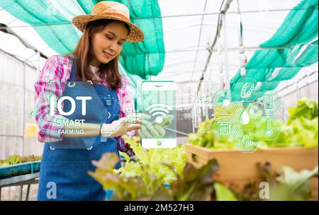 Bauernfrau verwendet Smartphone im Gewächshaus und verwendet Apps und Internet of Things (IOT), um frischen Salat aus grüner Eiche und biologisches hydroponisches Gemüse zu prüfen Stockfoto