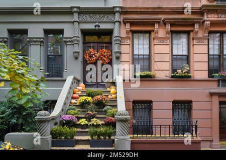 New Yorker Stadthäuser mit farbenfrohem Stuck und Blumenpflanzen Stockfoto