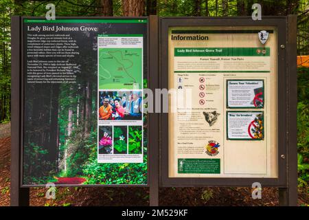 Hinweisschild: Lady Bird Johnson Grove, Redwood-Nationalpark, Kalifornien, USA Stockfoto