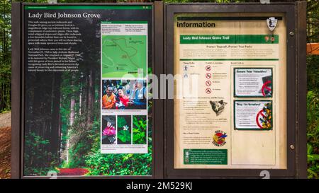 Hinweisschild: Lady Bird Johnson Grove, Redwood-Nationalpark, Kalifornien, USA Stockfoto