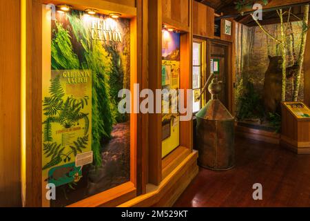 Informative Ausstellung im Besucherzentrum im Prairie Creek Redwood State Park, Kalifornien, USA Stockfoto