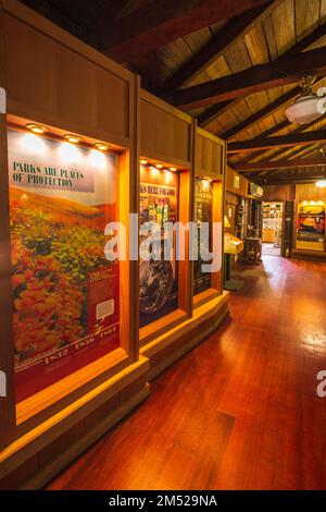 Informative Ausstellung im Besucherzentrum im Prairie Creek Redwood State Park, Kalifornien, USA Stockfoto