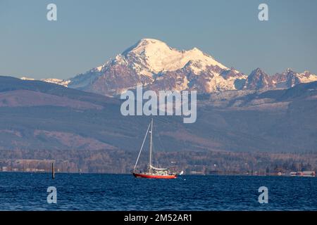 Anacortes WA USA - 18. November 2022: Ein rotes Segelboot in der Fidalgo Bay, im Hintergrund Mt. Baker Stockfoto