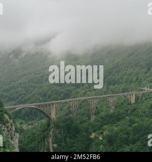 „Die Đurđevića Tara-Brücke überspannt anmutig den nebeligen Tara-Canyon in Montenegro, umgeben von üppigem Grün und dramatischen Landschaften Stockfoto