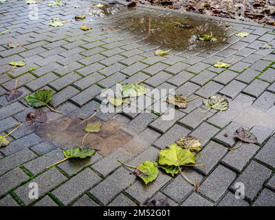 Makro-gebrochene Betonbahn, Backsteinoberfläche, melancholisches Konzept, hd-Bild Stockfoto