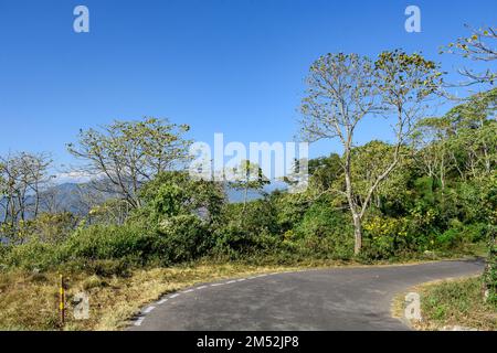 Landschaft mit Bergen, kurvenreicher Straße und Panoramablick auf Mt. Kanchenjunga aus Kalimpong. Stockfoto