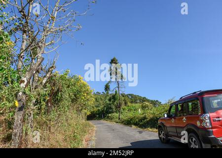 Roter suv auf Asphaltstraße mit Bergen, grünem Wald und blauem Himmel Stockfoto