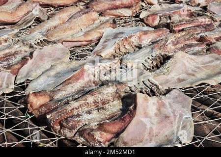Trockenfisch im Dorf am Casamance River, Ziguinchor Region, Senegal, Westafrika Stockfoto