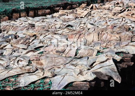 Trockenfisch im Dorf am Casamance River, Ziguinchor Region, Senegal, Westafrika Stockfoto