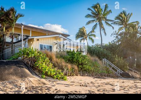Sunset Beach, Hawaii/USA - 22. Dezember 2022: Nutzung der Vegetation an der lebenden Küste, um die Erosion des Strandes am Sunset Beach, Oahu, Hawaii, zu verhindern Stockfoto