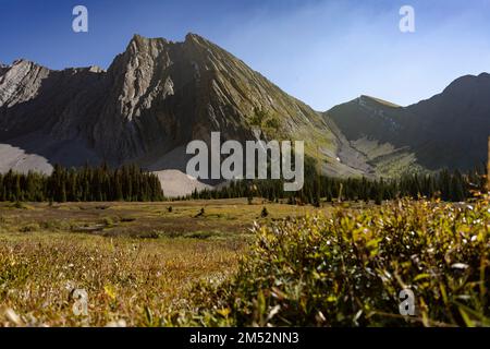 Der wunderschöne Mount Chester an einem sonnigen Tag mit blauem Himmel im Hintergrund, Alberta, Kanada Stockfoto