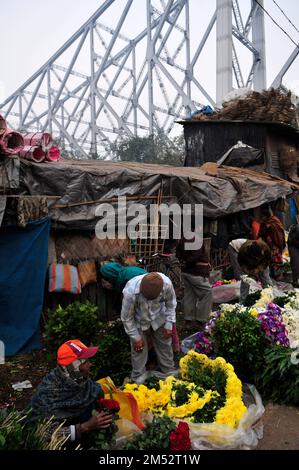 Mallick Ghat ist einer der größten Blumenmärkte in Asien. Szenen am frühen Morgen auf dem Markt in Kalkutta, Westbengalen, Indien. Stockfoto