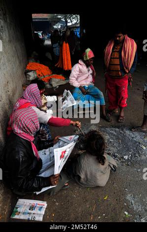 Bengalische Männer lesen die Morgenzeitung auf dem Malik-Ghat-Blumenmarkt in Kalkutta, Indien. Stockfoto