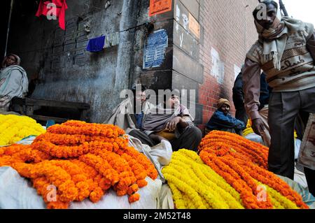 Mallick Ghat ist einer der größten Blumenmärkte in Asien. Szenen am frühen Morgen auf dem Markt in Kalkutta, Westbengalen, Indien. Stockfoto