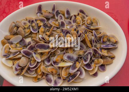 Nahaufnahme von gedämpften Muscheln mit lila Farbe auf einer weißen Platte Stockfoto