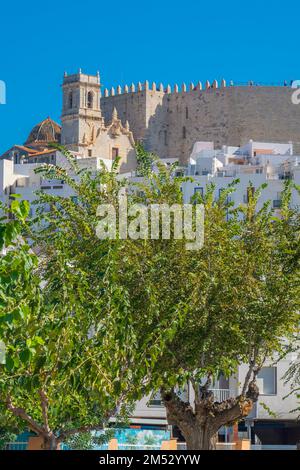 Schloss Peniscola an der Costa del Azahar in Castellon, Gemeinschaft Valencia in Spanien. Vertikal Stockfoto