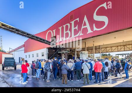 Huelva, Spanien - 4. Dezember 2022: Eine Gruppe von Personen, die eine moderne Olivenölmühle besuchen Olivenölfabrik Olibeas extra im Dorf B. Stockfoto