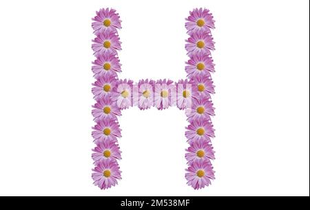 Buchstabe H mit pinkfarbener Blume auf weißem Hintergrund. Konzept des Frühlings. Stockfoto